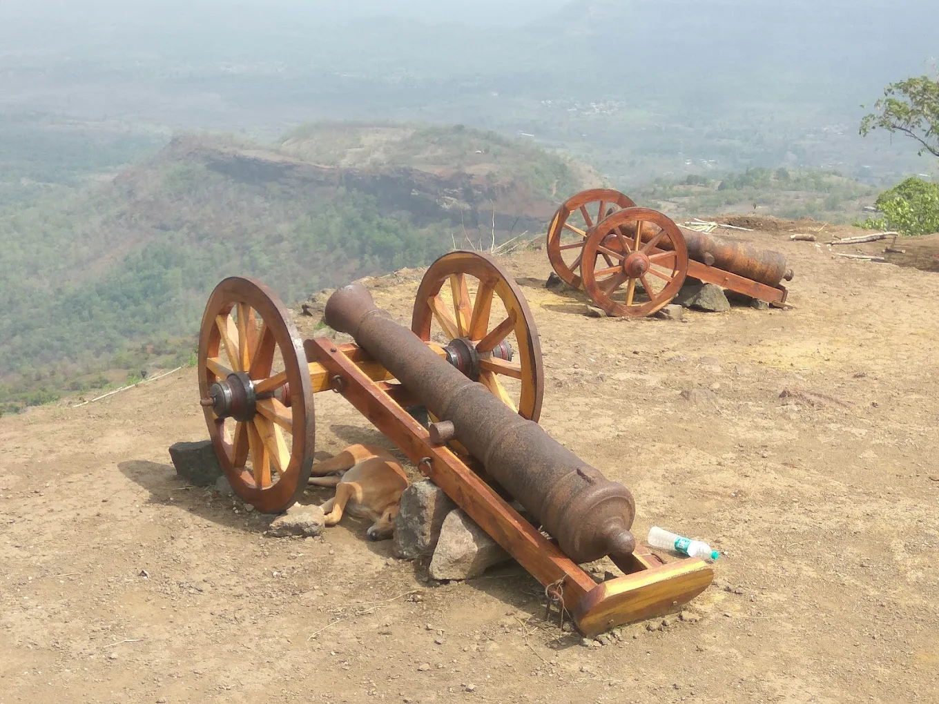 Historic Cannon at Kothaligad
