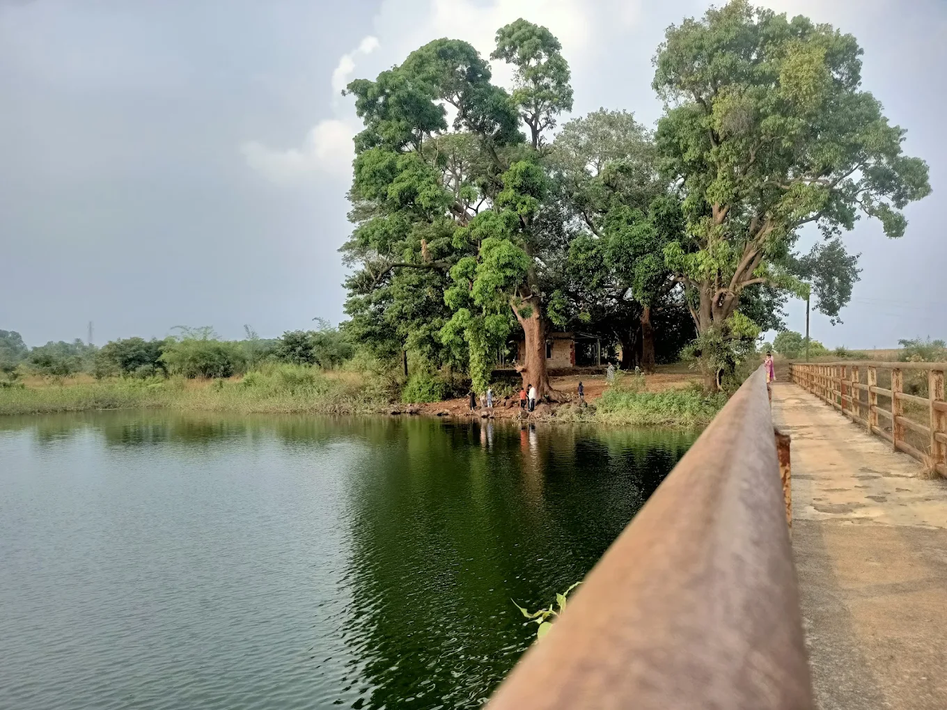 Lush Green Trees at Palasdari Lake